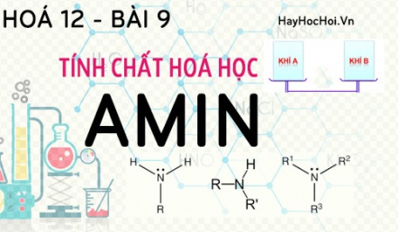 Amin tính chất hoá học, công thức cấu tạo của Amin và bài tập - hoá 12 bài 9